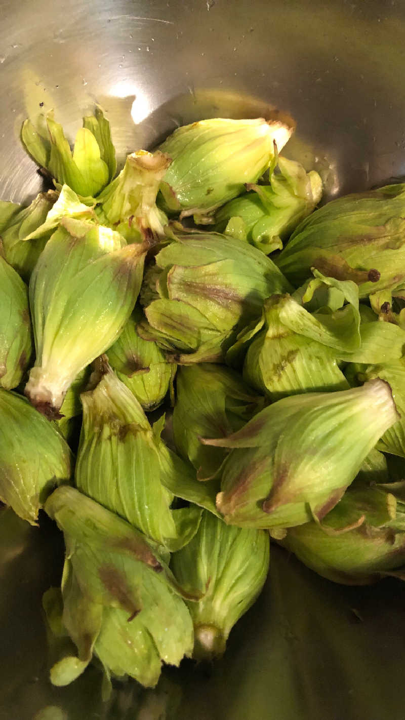 アジンガーサウナーさんのふれあいランド高郷のサ活写真