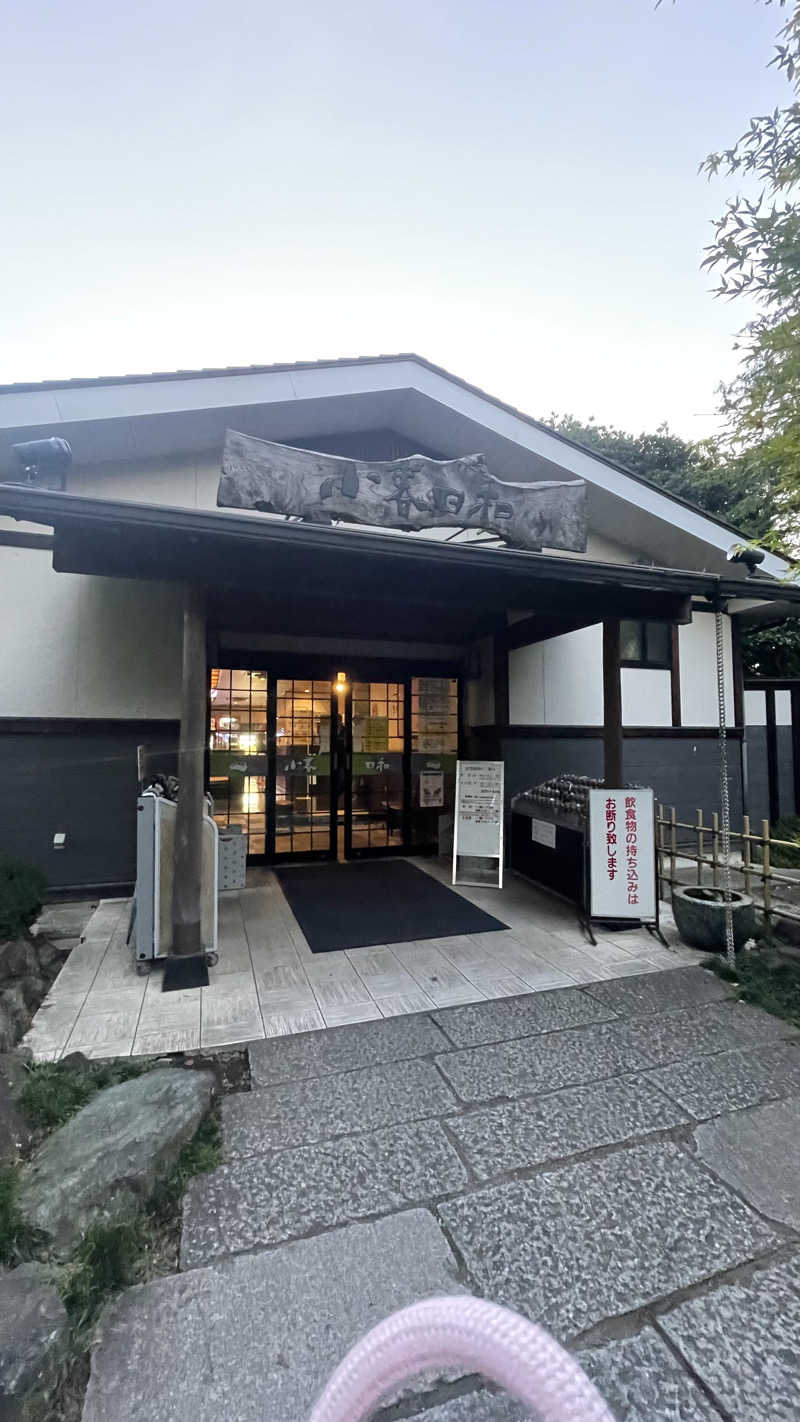 maさんの見沼天然温泉 小春日和のサ活写真