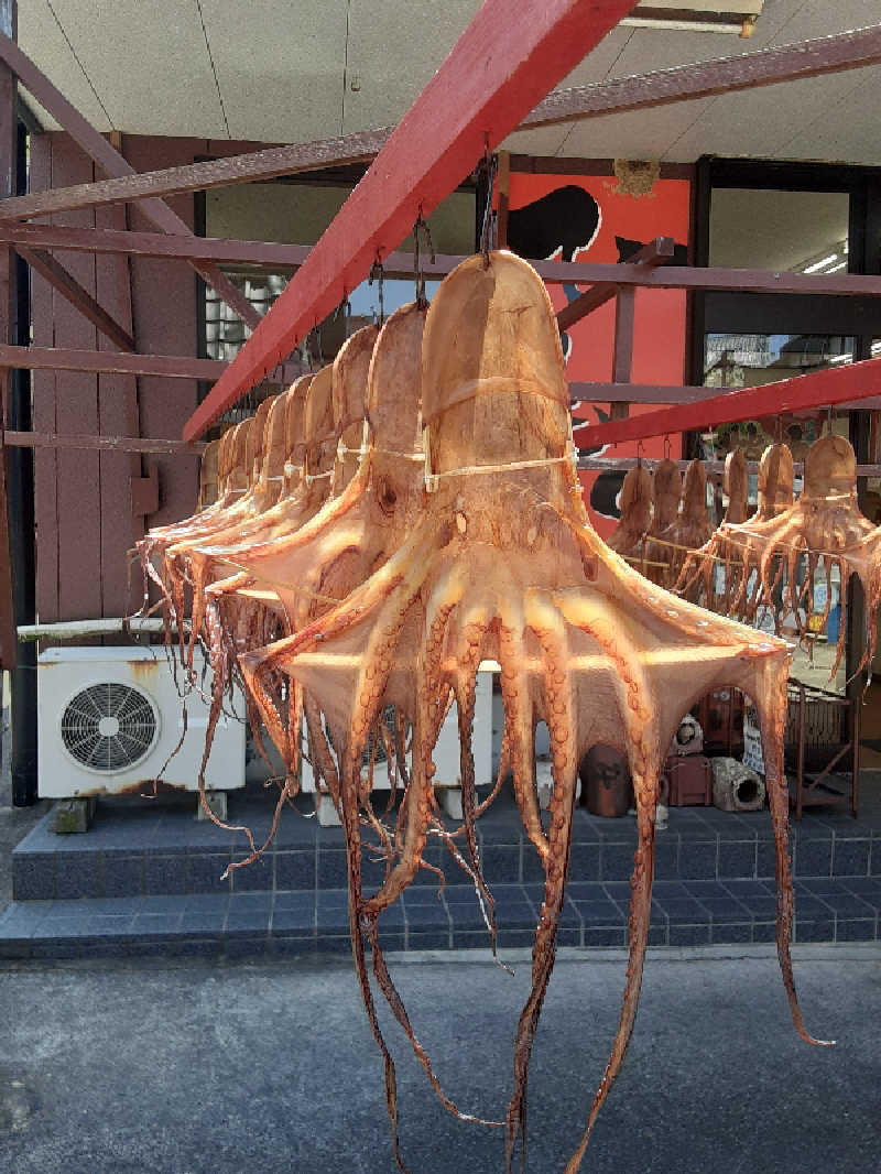 おこじょさんのKINOSUKE  日間賀島 島のサウナのサ活写真