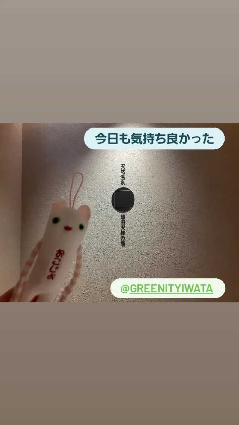 おこじょさんのGREENITY IWATAのサ活写真