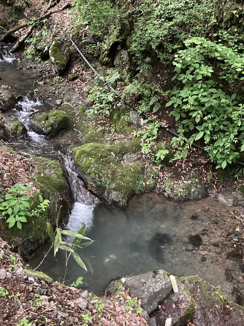 カミリンさんのDAICHI silent riverのサ活写真