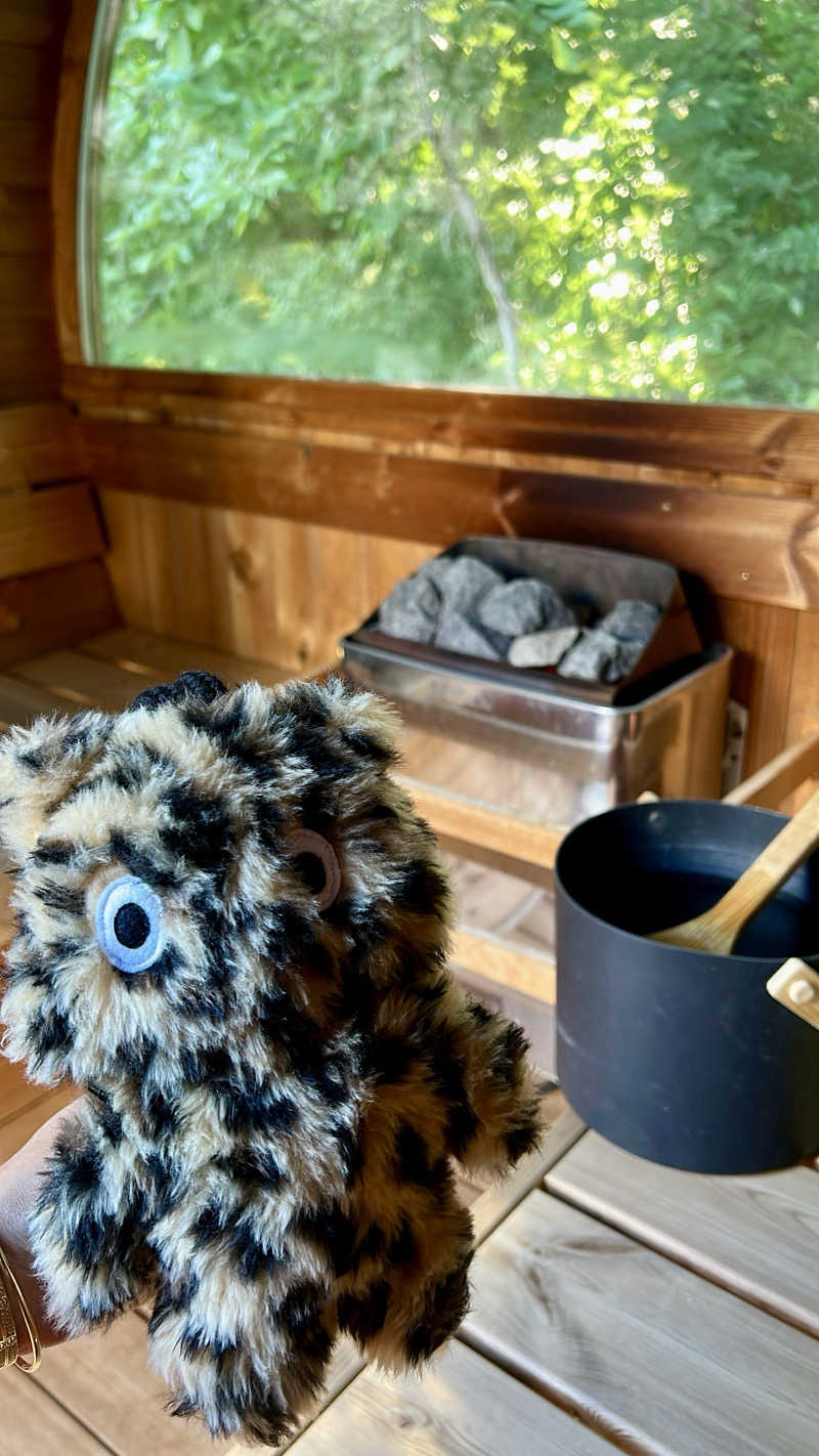 マヨネーズさんの軽井沢プライベートアウトドアサウナkaveriのサ活写真