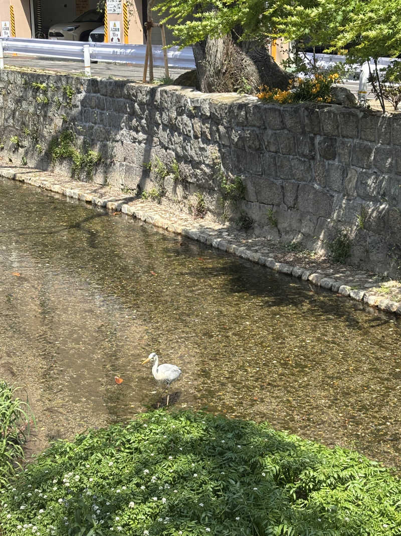 ぎもぐさんのサウナの梅湯のサ活写真