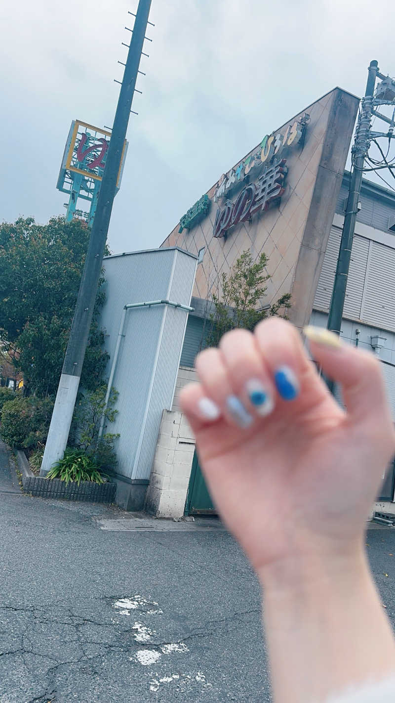 ぴぴぴさんの越谷天然温泉美人の湯 ゆの華のサ活写真