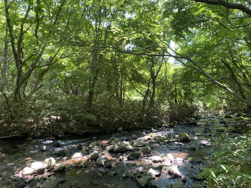 あまみんさんの森のサウナ kaveri(カベリ)-エンゼルフォレスト白河高原のサ活写真