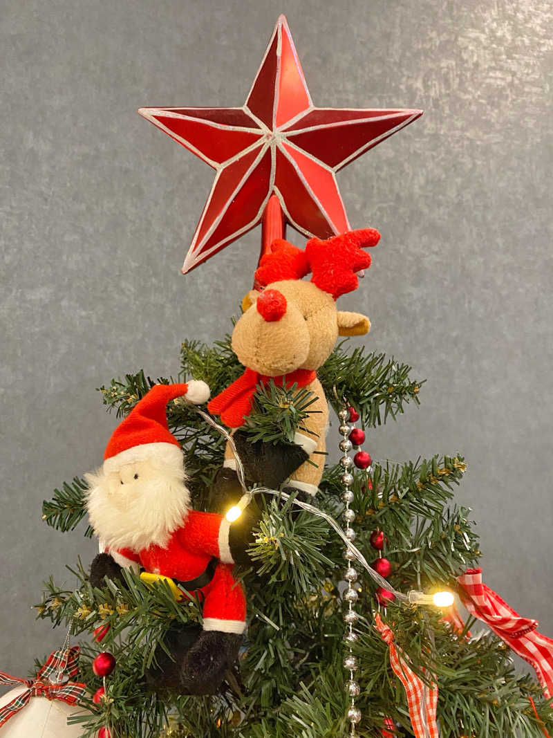 あまみんさんの天然温泉 仙台コロナの湯のサ活写真