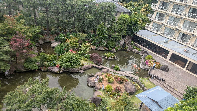 ひろみさんの大江戸温泉物語 ホテル新光のサ活写真