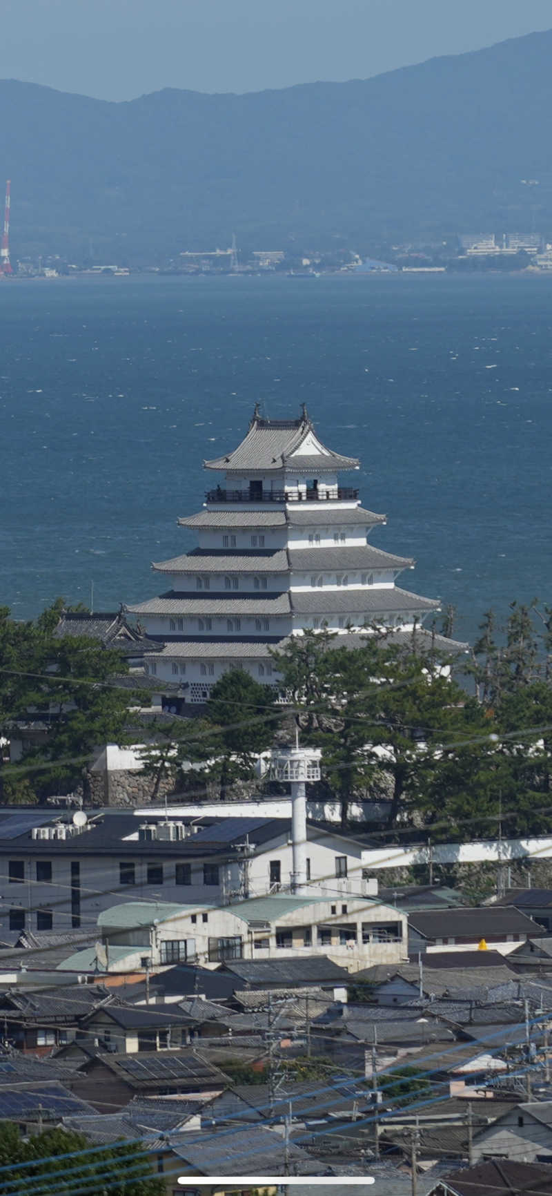 サウナが好きなクマさんの島原温泉 ホテル南風楼のサ活写真