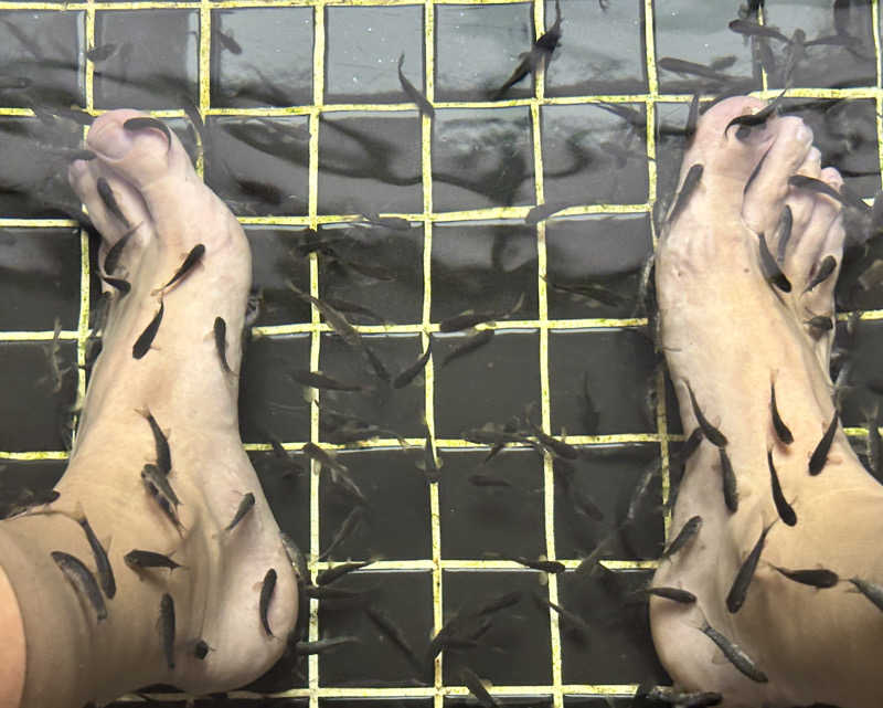 ハノイ男子さんのAMARE Onsen & Jjimjilbang - Times Cityのサ活写真