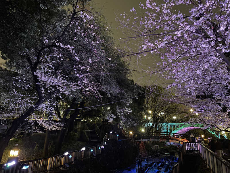 よっちてさんのCOCOFURO かが浴場のサ活写真