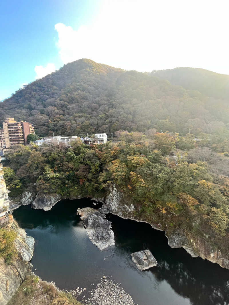 おぬちゃんさんの鬼怒川温泉 ものぐさの宿 花千郷のサ活写真