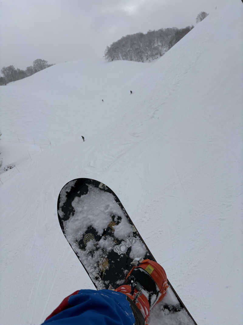 あべロッシフミさんの流葉温泉 ニュートリノのサ活写真