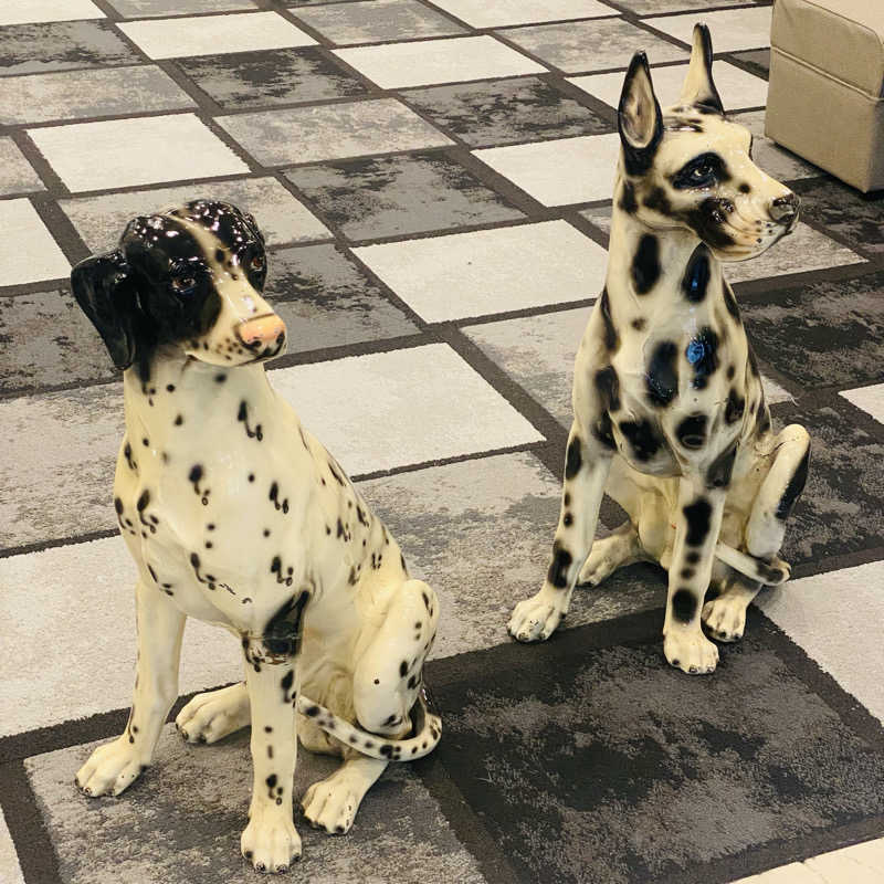 げんちゃん。さんのサウナ&カプセル フジのサ活写真