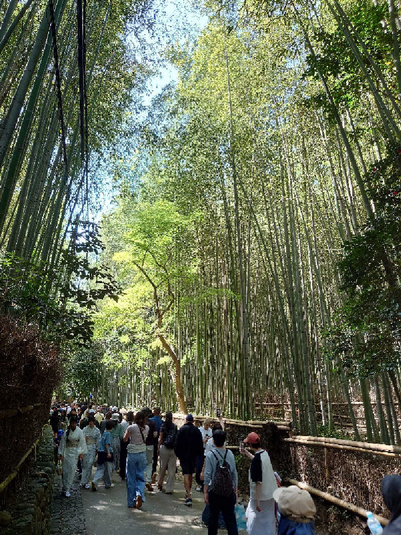 T氏 54さんのホテルヴィスキオ京都のサ活写真