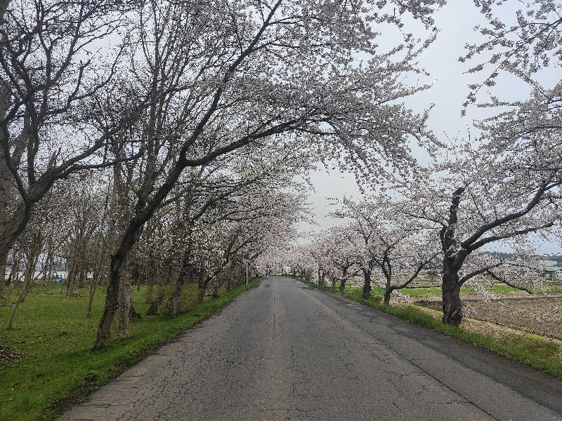 ダビデ象🐘さんの天然温泉まつのゆのサ活写真