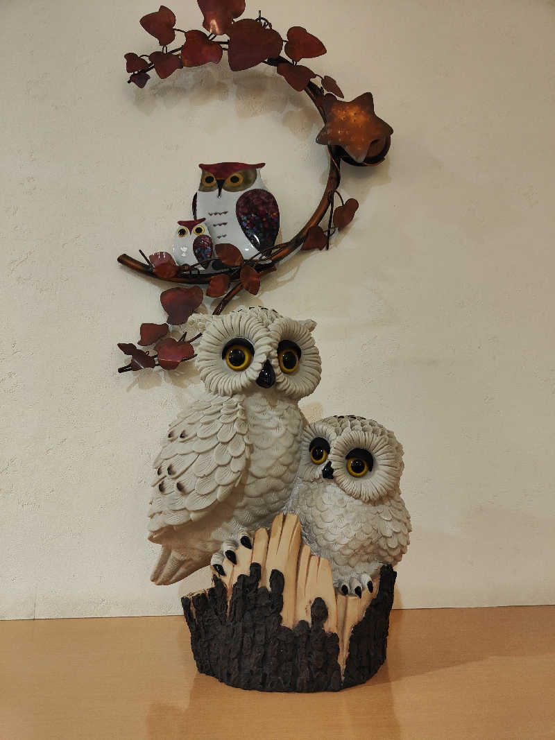 ダビデ象🐘さんのふくろうの湯のサ活写真