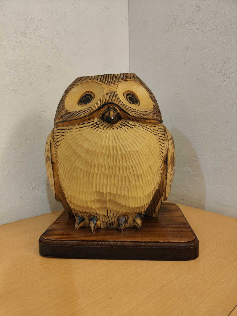 ダビデ象🐘さんのふくろうの湯のサ活写真