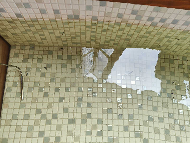 ダビデ象🐘さんの上北さくら温泉のサ活写真