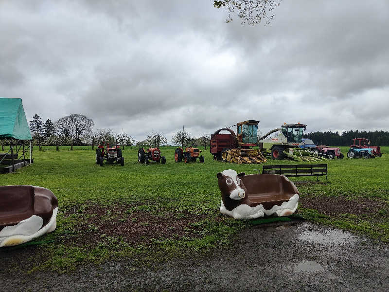 ダビデ象🐘さんの上北さくら温泉のサ活写真