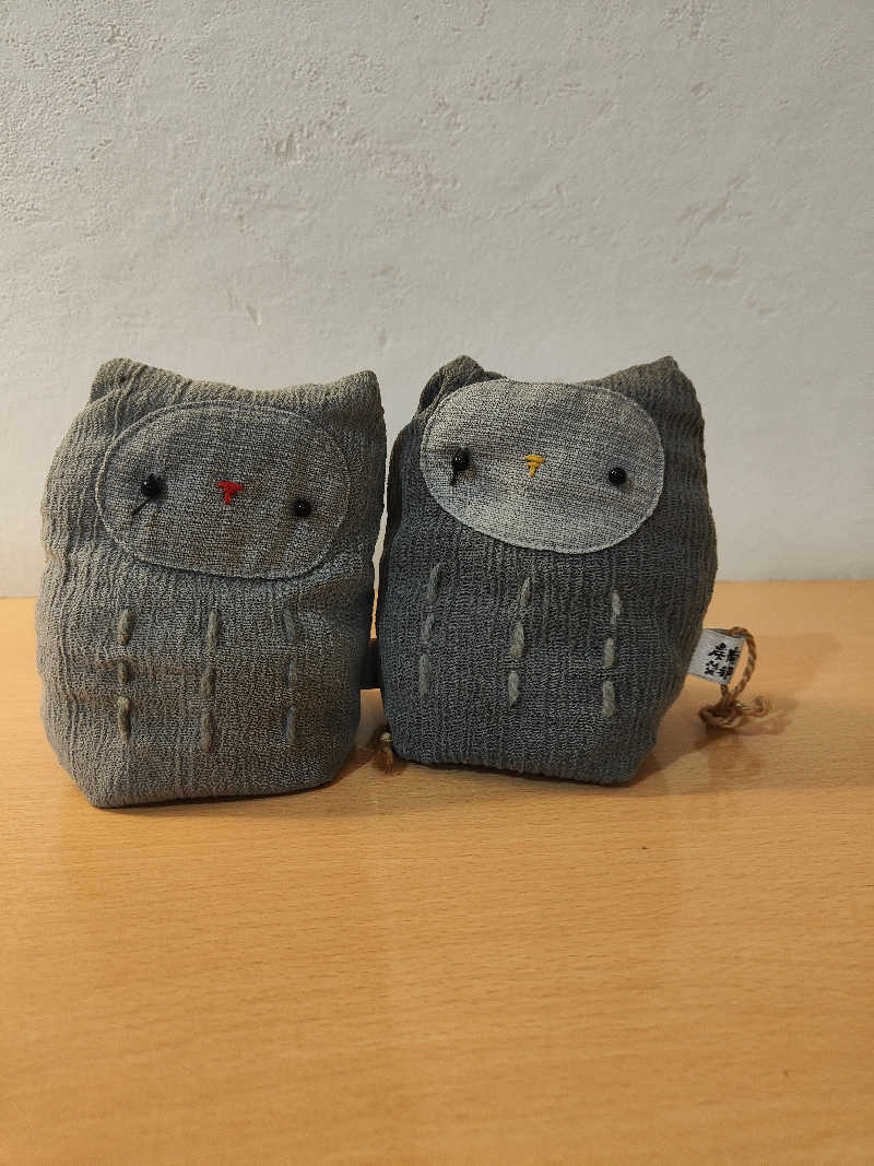 ダビデ象🐘さんのふくろうの湯のサ活写真