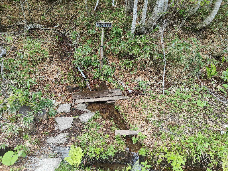 ダビデ象🐘さんの十和田市 市民の家のサ活写真