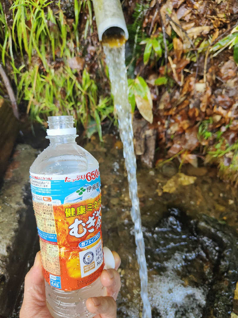 ダビデ象🐘さんの十和田市 市民の家のサ活写真