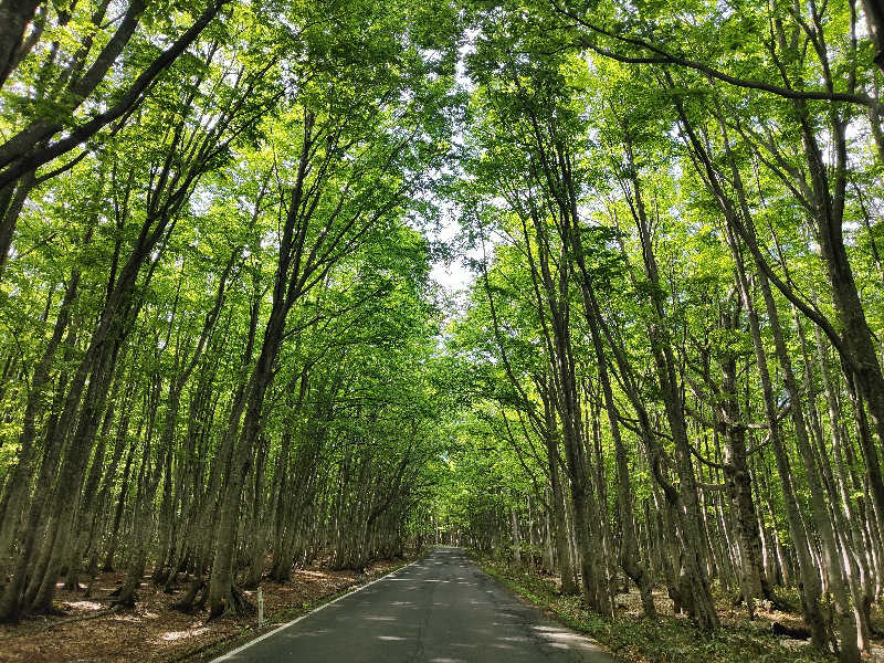 ダビデ象🐘さんの十和田市 市民の家のサ活写真