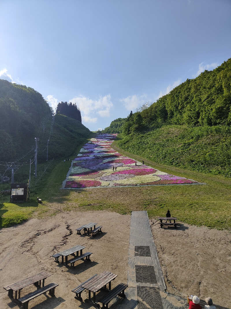 ダビデ象🐘さんの十和田市 市民の家のサ活写真