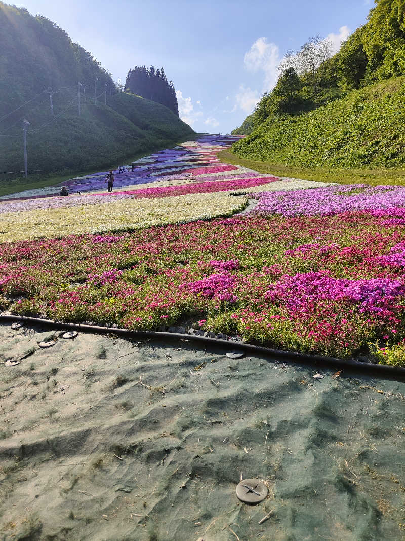 ダビデ象🐘さんの十和田市 市民の家のサ活写真