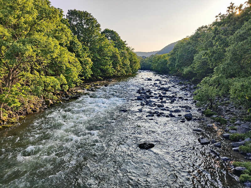 ダビデ象🐘さんの紅葉の湯のサ活写真