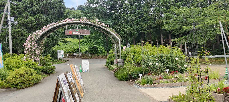 ダビデ象🐘さんの天間林温泉のサ活写真