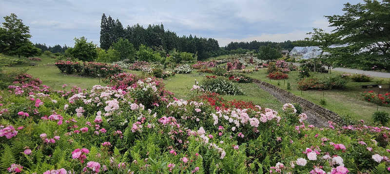 ダビデ象🐘さんの天間林温泉のサ活写真