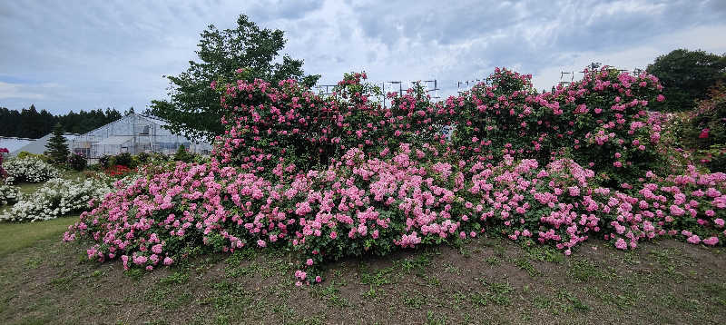 ダビデ象🐘さんの天間林温泉のサ活写真