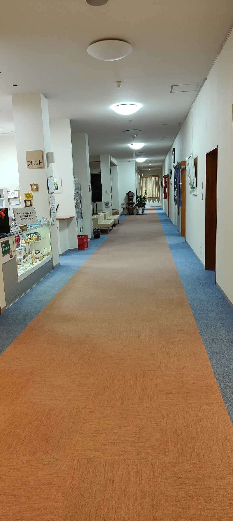 ダビデ象🐘さんのふくろうの湯のサ活写真