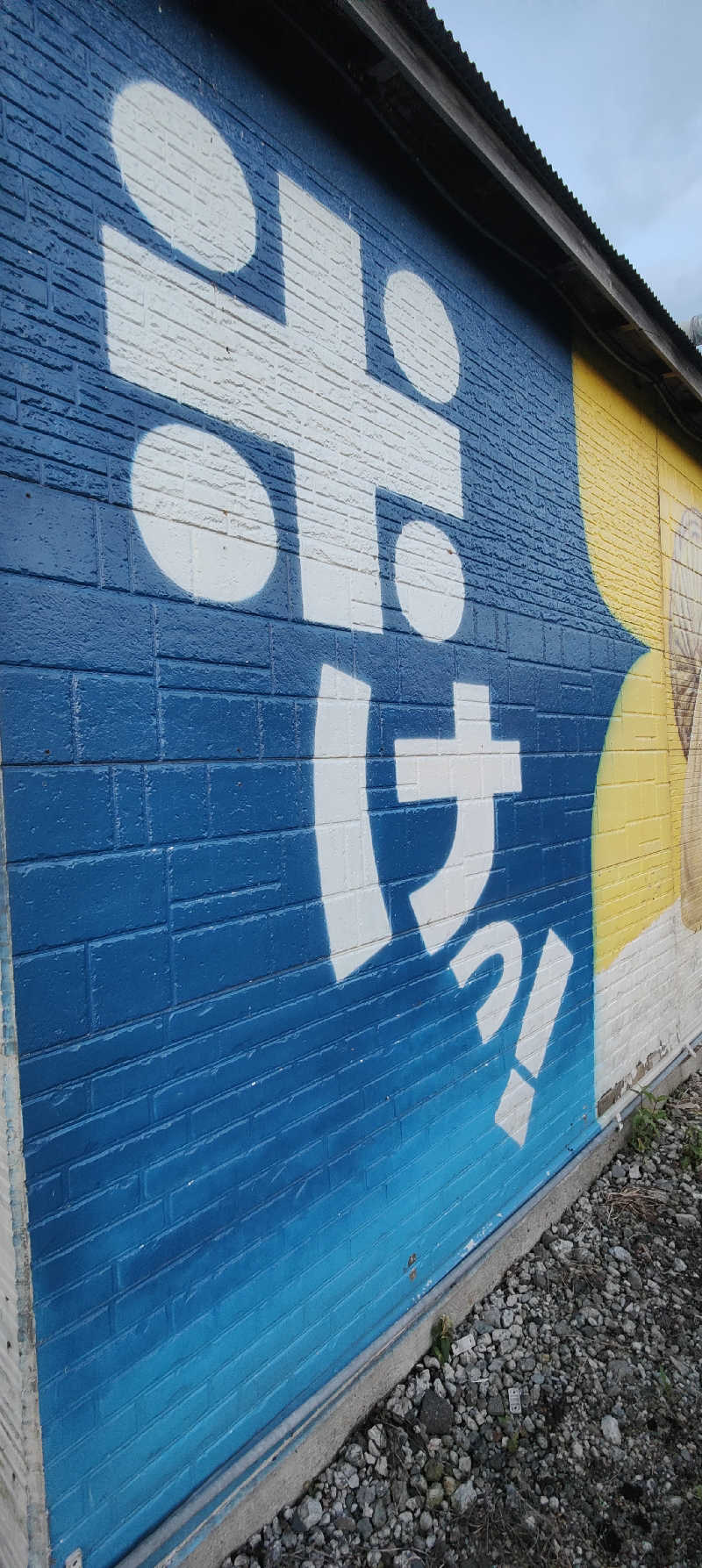 ダビデ象🐘さんのふくろうの湯のサ活写真