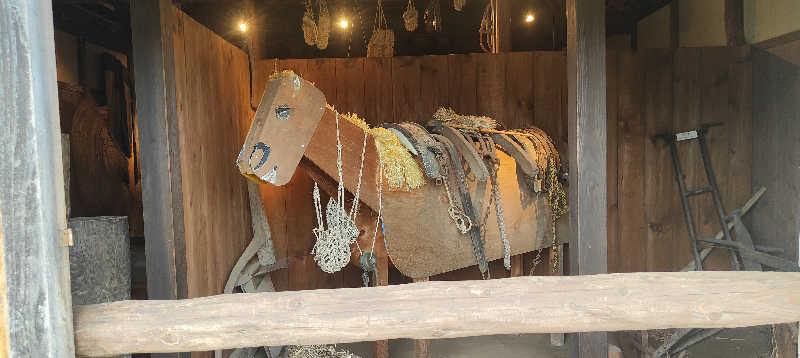 ダビデ象🐘さんの下田温泉・ゆーらくえんのサ活写真