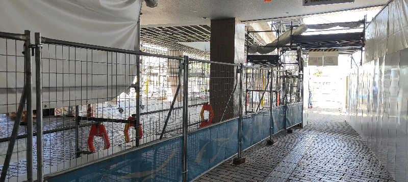 ダビデ象🐘さんの紅葉の湯のサ活写真