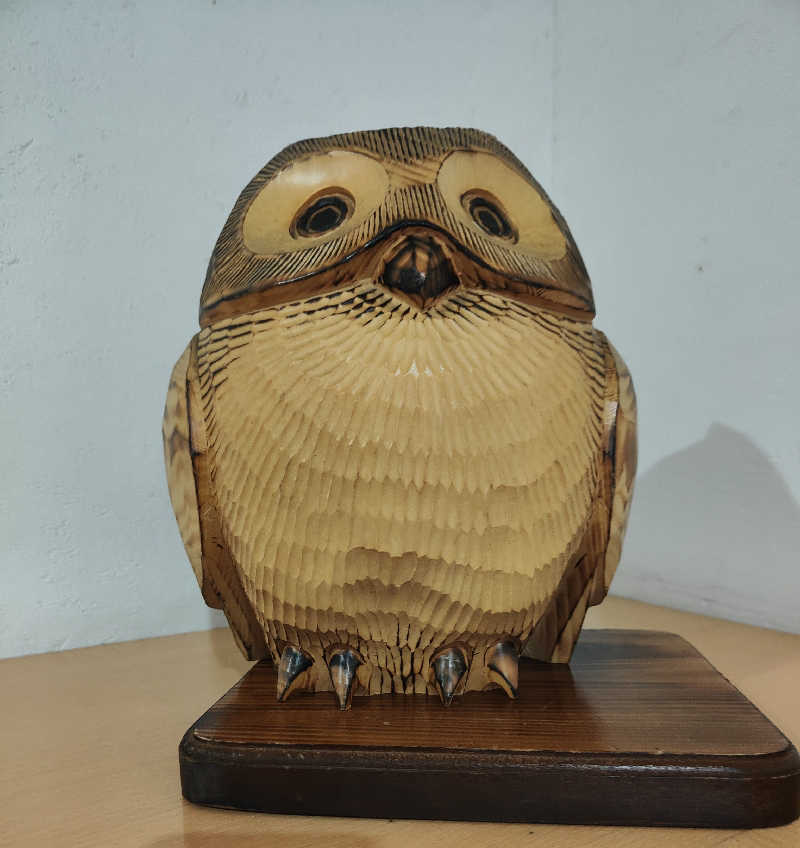 ダビデ象🐘さんのふくろうの湯のサ活写真