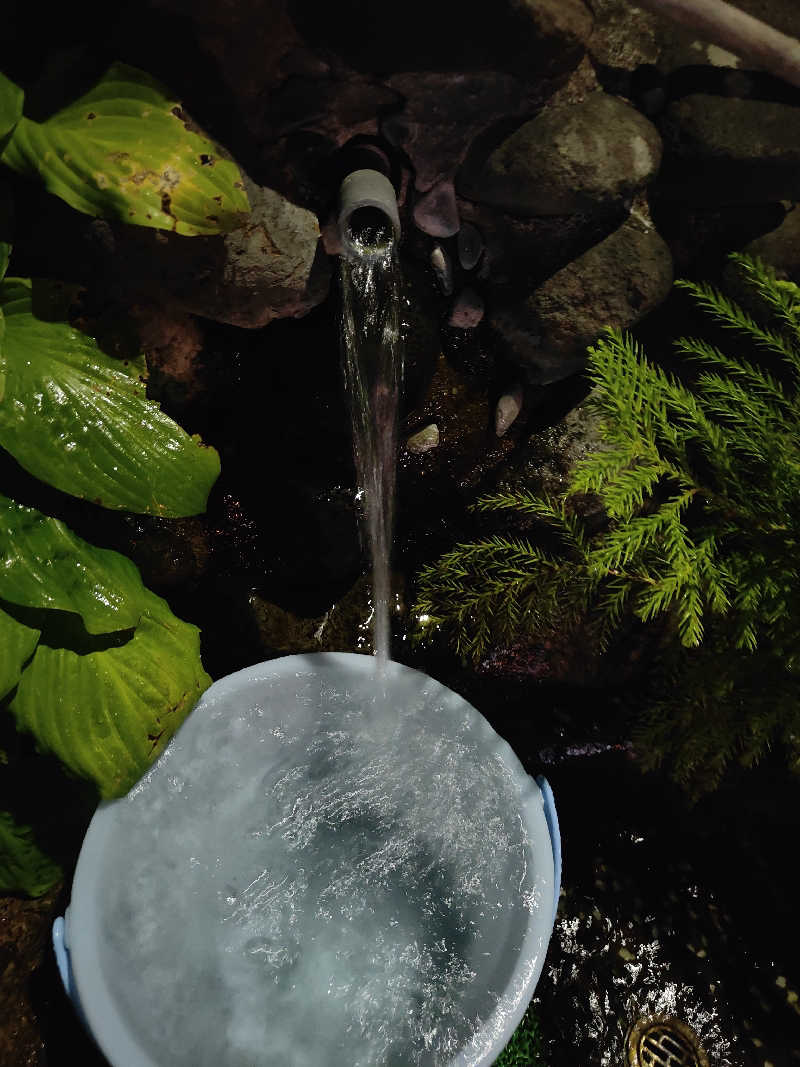 ダビデ象🐘さんのタカラの湯のサ活写真