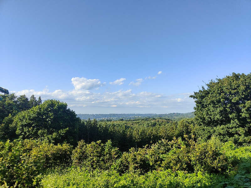 ダビデ象🐘さんの五戸まきば温泉のサ活写真