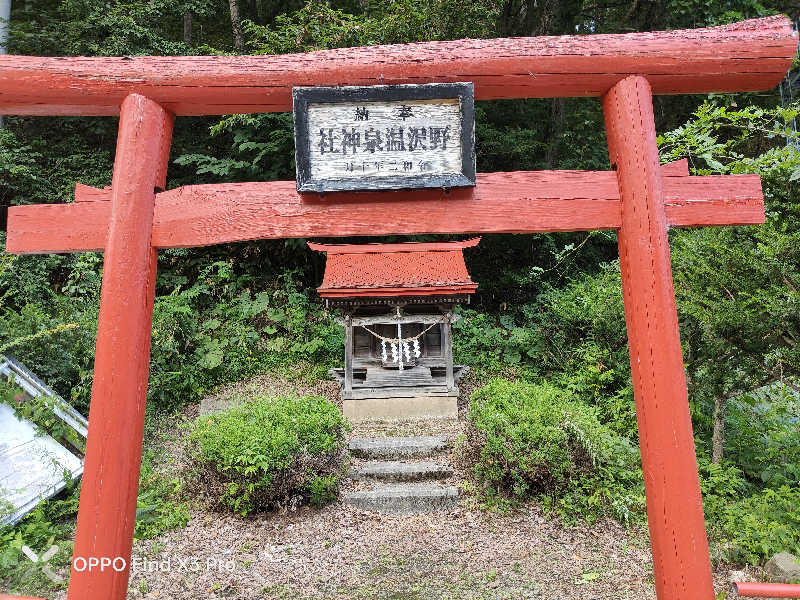 ダビデ象🐘さんの新郷温泉館のサ活写真