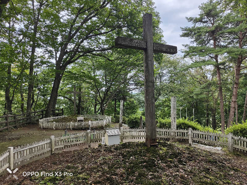 ダビデ象🐘さんの新郷温泉館のサ活写真