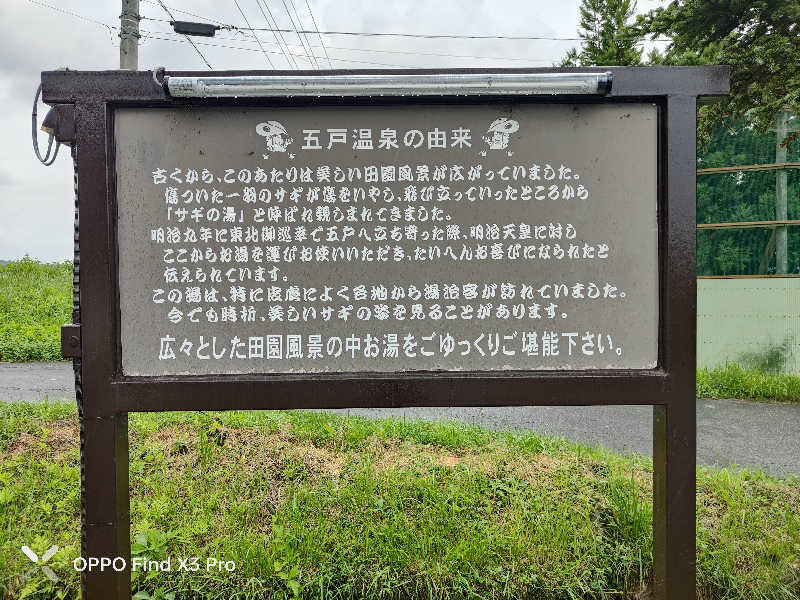 ダビデ象🐘さんの新たんぼのゆっこのサ活写真