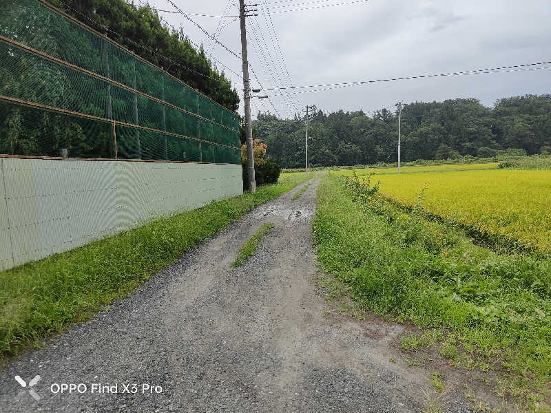 ダビデ象🐘さんの新たんぼのゆっこのサ活写真