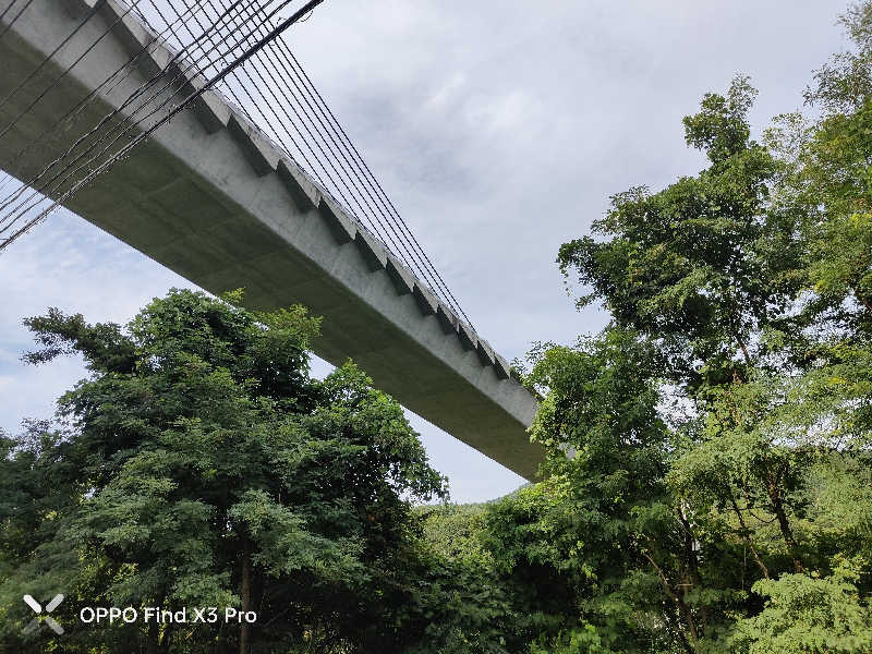 ダビデ象🐘さんのバーデハウスふくちのサ活写真