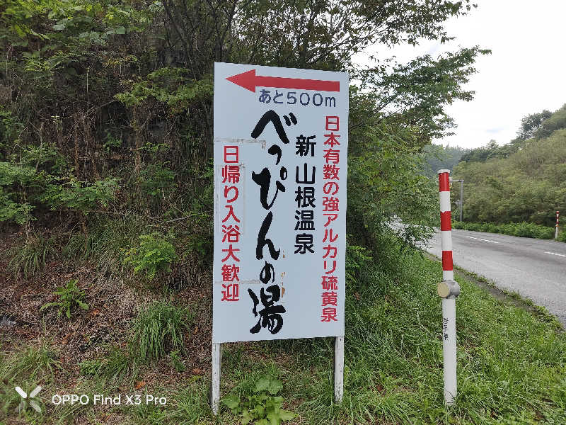 ダビデ象🐘さんの新山根温泉 べっぴんの湯のサ活写真