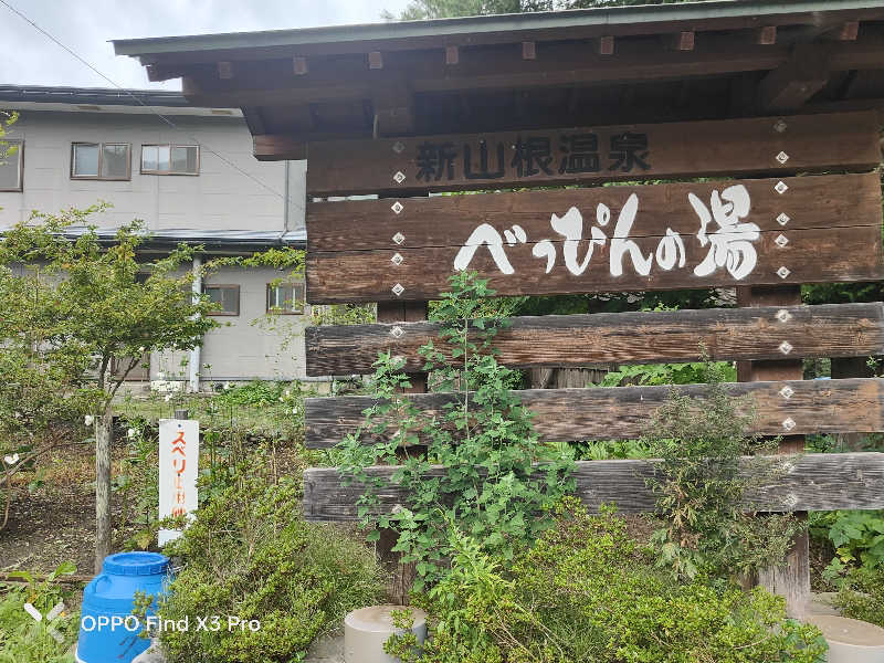 ダビデ象🐘さんの新山根温泉 べっぴんの湯のサ活写真