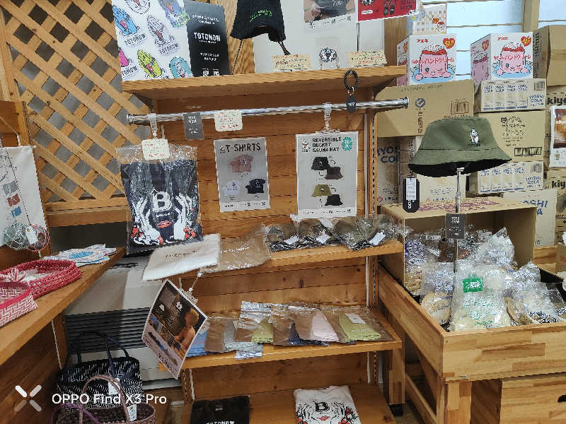 ダビデ象🐘さんの新山根温泉 べっぴんの湯のサ活写真