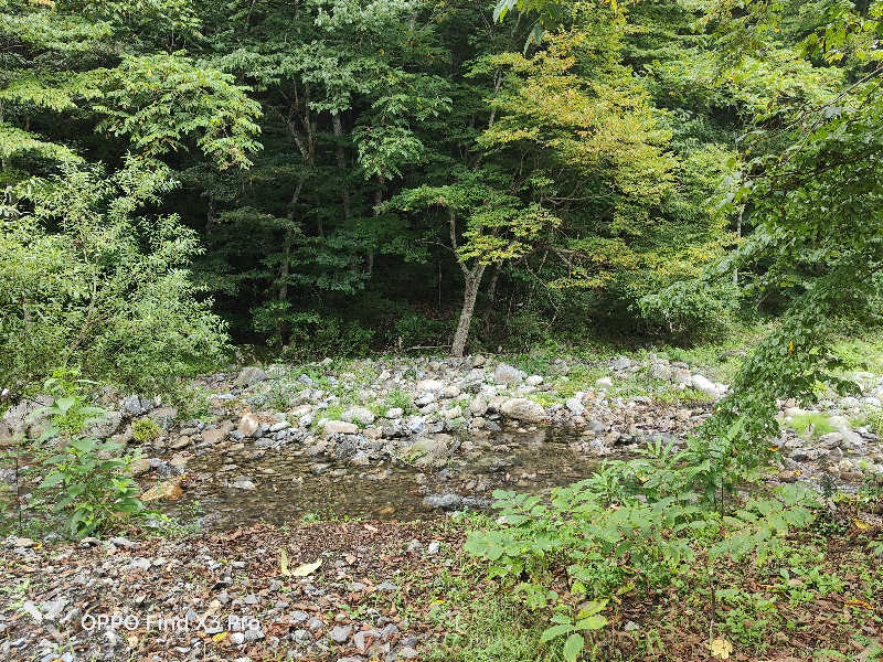 ダビデ象🐘さんの新山根温泉 べっぴんの湯のサ活写真