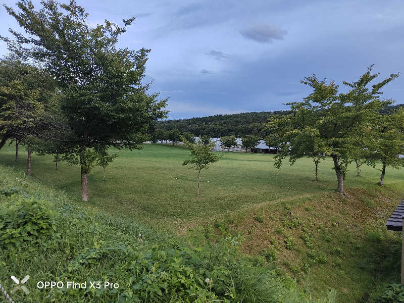 ダビデ象🐘さんのおおの健康の湯のサ活写真